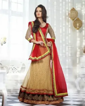 Picture of chaniya choli accessories,elegant lehenga sareechaniya 