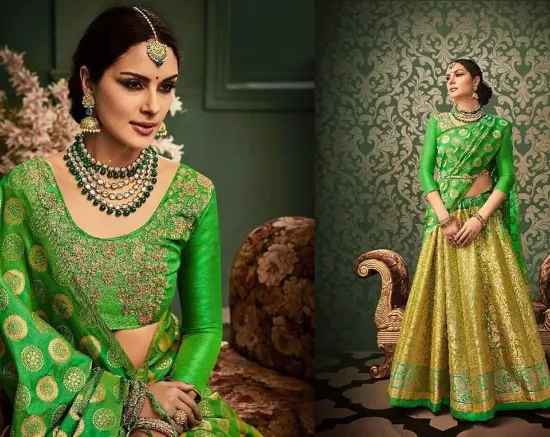 Picture of chaniya choli app,lehenga saree dress indiachaniya chol