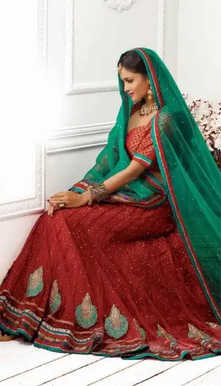 Picture of chaniya choli atlanta,lehenga saree dresschaniya choli,