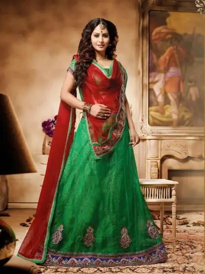 Picture of chaniya choli designer in anand,lehenga saree homeshop1