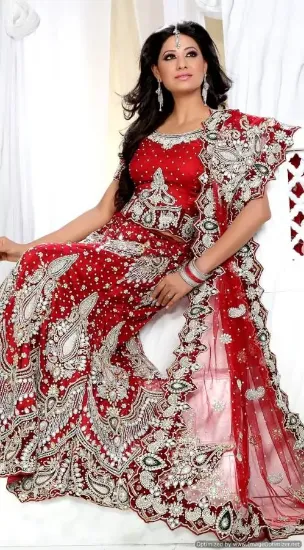 Picture of chaniya choli draping style 1,lehenga for kidschaniya c