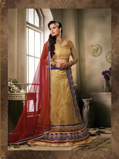 Picture of chaniya choli dress up games,lehenga saree 2024chaniya 