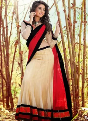 Picture of chaniya choli f,lehenga saree kaise pahnte haichaniya c