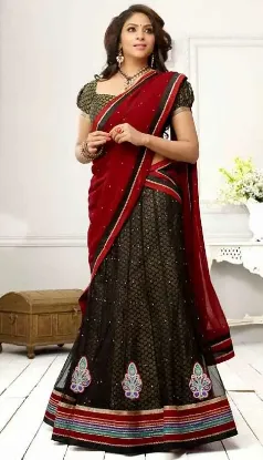 Picture of chaniya choli for garba,lehenga saree costchaniya choli