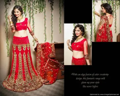 Picture of chaniya choli heavy,lehenga saree latest design 2024cha