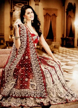 https://radhedesigner.com/images/thumbs/000/0004827_chaniya-choli-historylehenga-saree-myntrachaniya-choli_450.webp