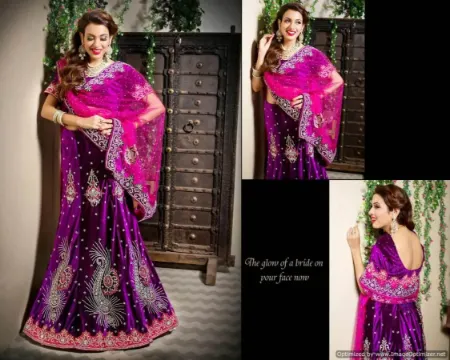 https://radhedesigner.com/images/thumbs/000/0004843_chaniya-choli-jaipurlehenga-saree-nagpuri-videochaniya_450.webp