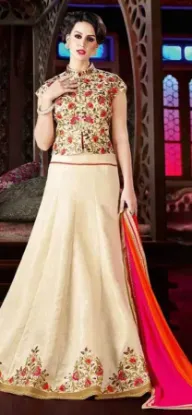 Picture of chaniya choli kapad,lehenga saree ok designchaniya chol