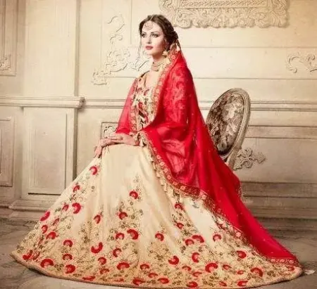 https://radhedesigner.com/images/thumbs/000/0004860_chaniya-choli-ladieslehenga-saree-porar-videochaniya-c_450.webp