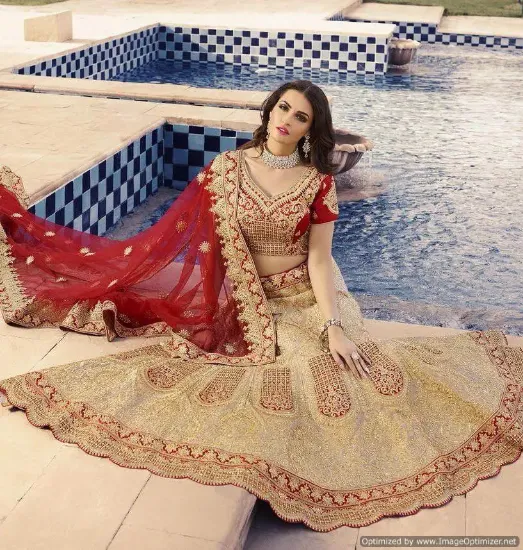 Picture of chaniya choli rent mumbai,lehenga saree with beach dres