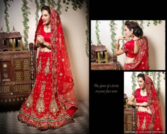 Picture of chaniya choli trends,zeenat lehenga sareechaniya choli,