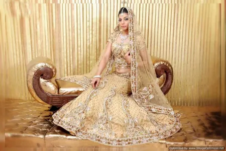 https://radhedesigner.com/images/thumbs/000/0004941_chaniya-choli-type-sareezohraa-lehenga-sareechaniya-ch_450.webp