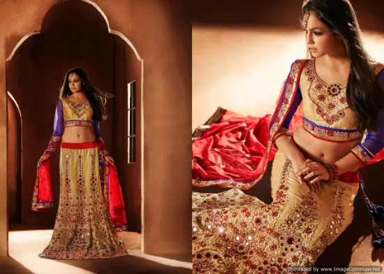 Picture of chaniya choli vadodara,lehenga saree designs 2013chaniy