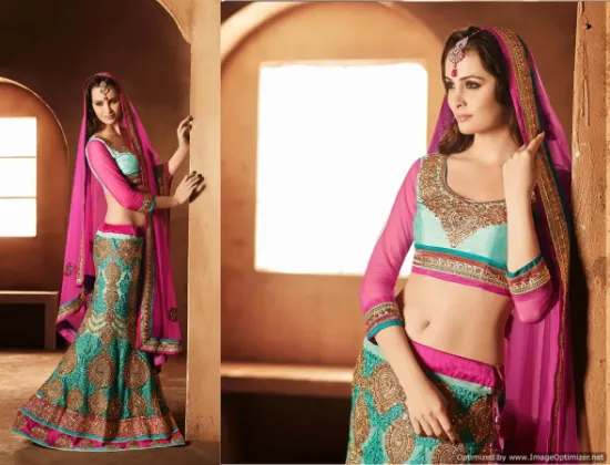 Picture of chaniya choli vs lehenga,2 piece lehenga sareechaniya c