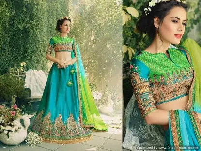 Picture of chaniya choli,lehenga saree dulhanchaniya choli,choli,,