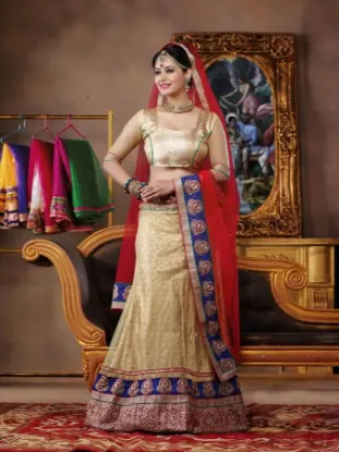 Picture of chaniya choli,lehenga saree dulhanchaniya choli,choli,l