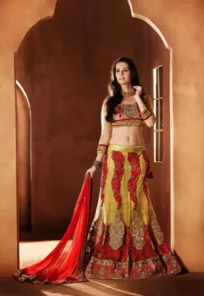 Picture of choli and dress,lehenga blouseschaniya choli,choli,lehe