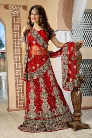 https://radhedesigner.com/images/thumbs/000/0004990_choli-dress-for-ladieslehenga-a-cutchaniya-cholicholi_450.webp