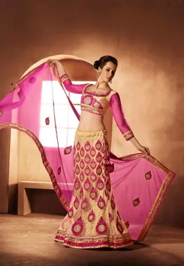 Picture of choli dress images,lehenga blouse designschaniya choli,