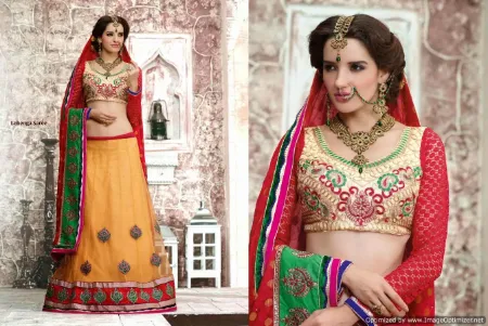 https://radhedesigner.com/images/thumbs/000/0005008_choli-dress-onlinelehenga-jaipurchaniya-cholicholile_450.webp