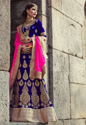 Picture of choli dress pic,dolly j lehenga sareechaniya choli,chol