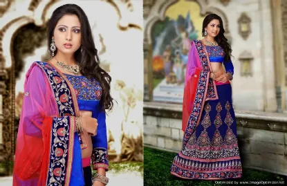 Picture of choli dress rate,lehenga kurtichaniya choli,choli,lehen