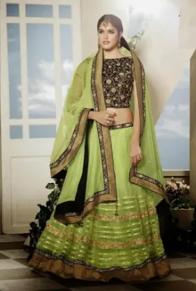 Picture of choli indian dress,lehenga gown dresschaniya choli,chol