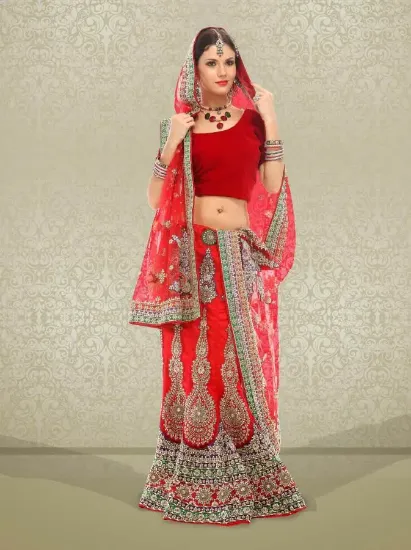 Picture of choli lehenga indian partywear ethnic bollywood tradit,