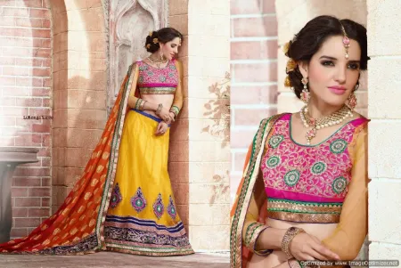 https://radhedesigner.com/images/thumbs/000/0005133_designer-choli-neckdiy-lehenga-from-sareechaniya-choli_450.webp