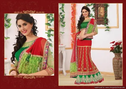 Picture of designer sari indian ethnic wedding pakistani bollywoo,