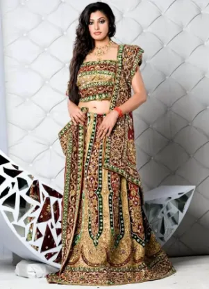 Picture of dress lehenga dress,lehenga delhichaniya choli,choli,le