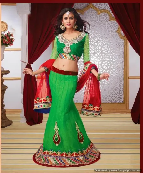 Picture of embroidered lehenga choli indian pakistani ethnic wedd,