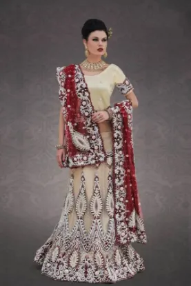 Picture of embroidered net lehenga style saree in multicolor desig