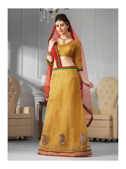 Picture of embroidery net lehenga,lehenga topchaniya choli,choli,l