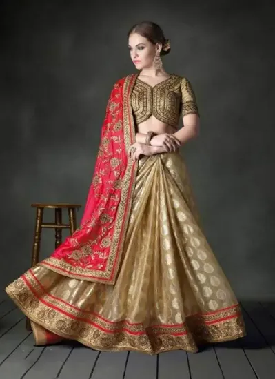 Picture of ethnic dress indian wedding reception embroidery brida,