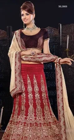 https://radhedesigner.com/images/thumbs/000/0005508_ethnic-pakistani-indian-party-wear-bridal-lehenga-choli_450.webp