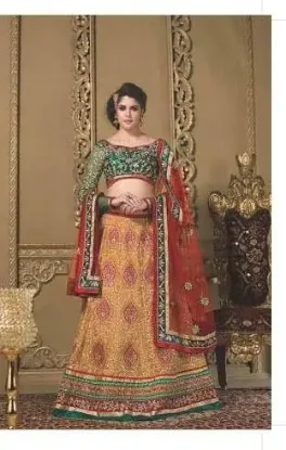 Picture of fancy designer velvet lehenga choli bridal wedding part