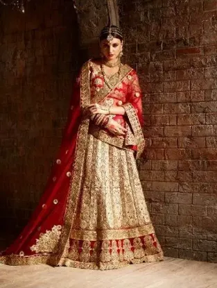 Picture of green velvet lehenga,ghagra choli ganachaniya choli,ch,