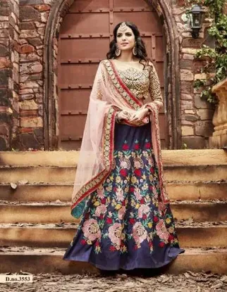 Picture of grey velvet lehenga,ghagra choli girl photochaniya cho,