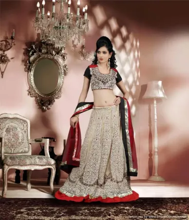 https://radhedesigner.com/images/thumbs/000/0005662_grey-velvet-lehengaghagra-choli-girl-photochaniya-chol_450.webp