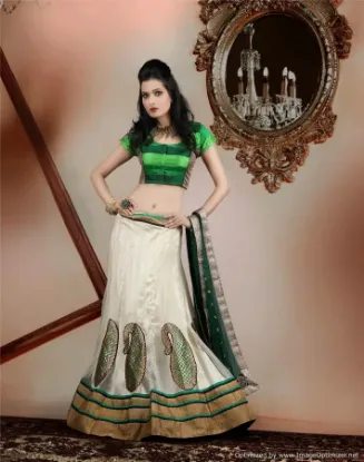 Picture of heavy velvet lehenga,ghagra choli gujarati stylechaniya