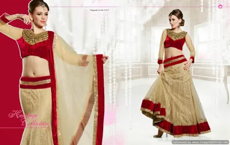 https://radhedesigner.com/images/thumbs/000/0005746_india-bollywood-design-wedding-cream-maroon-net-lahe_450.webp