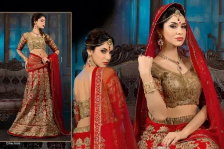 https://radhedesigner.com/images/thumbs/000/0005851_indian-bollywood-lehenga-women-wedding-designer-pakist_450.webp