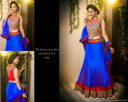 https://radhedesigner.com/images/thumbs/000/0005918_indian-chaniya-choli-uklehenga-saree-2024chaniya-choli_450.webp