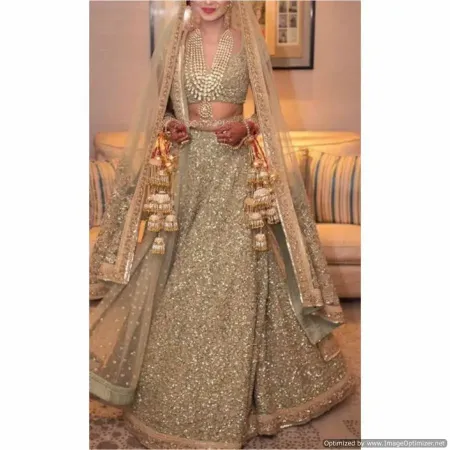 https://radhedesigner.com/images/thumbs/000/0005932_indian-designer-beige-embroidered-bollywood-net-wedding_450.webp