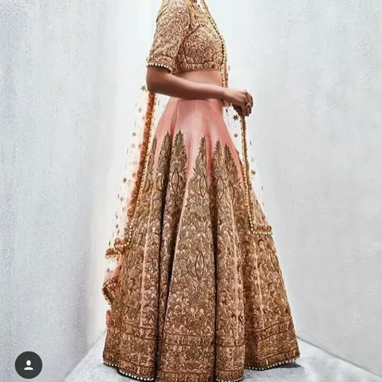 Picture of indian designer bollywood shrdha style beige net party 