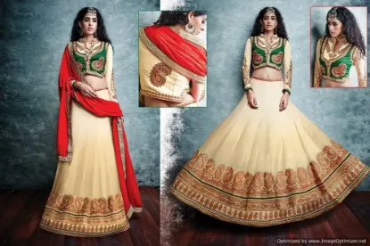 Picture of indian designer heavy work velvet bridal lehenga pakis,