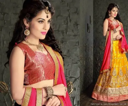 https://radhedesigner.com/images/thumbs/000/0006064_indian-designer-lehenga-wedding-party-wear-ethnic-pakis_450.webp