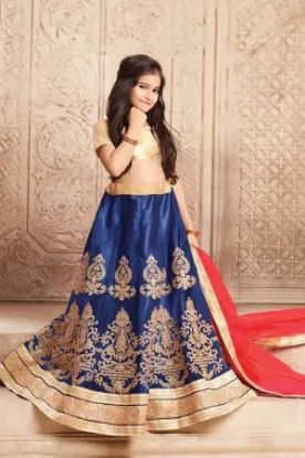 Picture of indian designer net embroidered lehenga wedding ceremo,