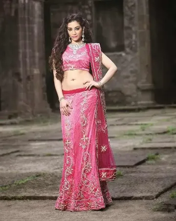 https://radhedesigner.com/images/thumbs/000/0006100_indian-designer-party-wear-lehenga-ethnic-pakistani-br_450.webp